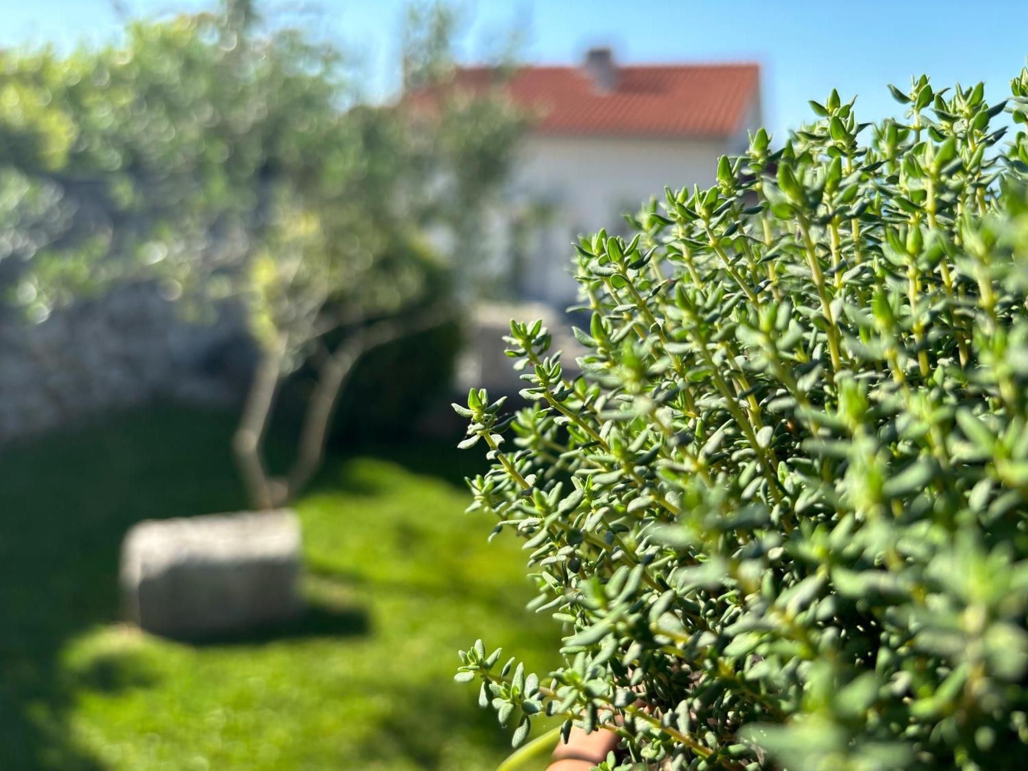 Apartmán Va Kastav Exteriér fotografie