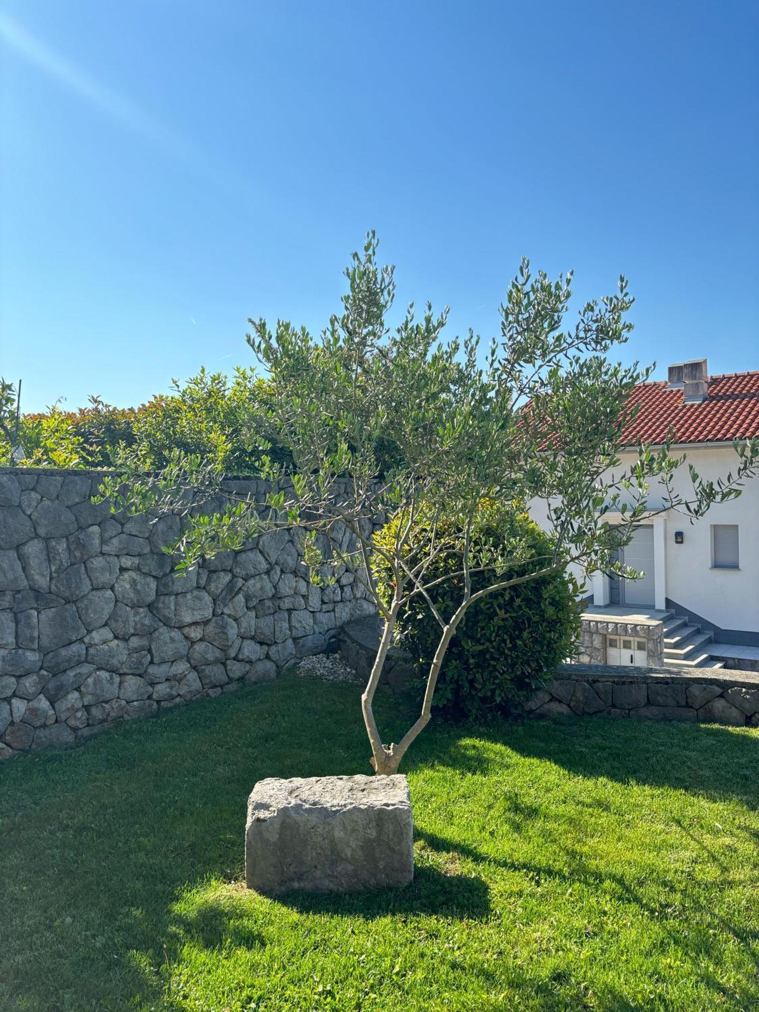 Apartmán Va Kastav Exteriér fotografie