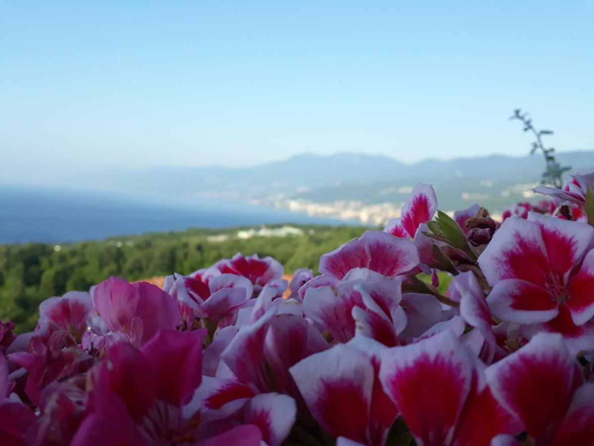 Apartmán Va Kastav Exteriér fotografie